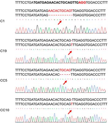 Genetic and physiological characteristics of CsNPR3 edited citrus and their impact on HLB tolerance